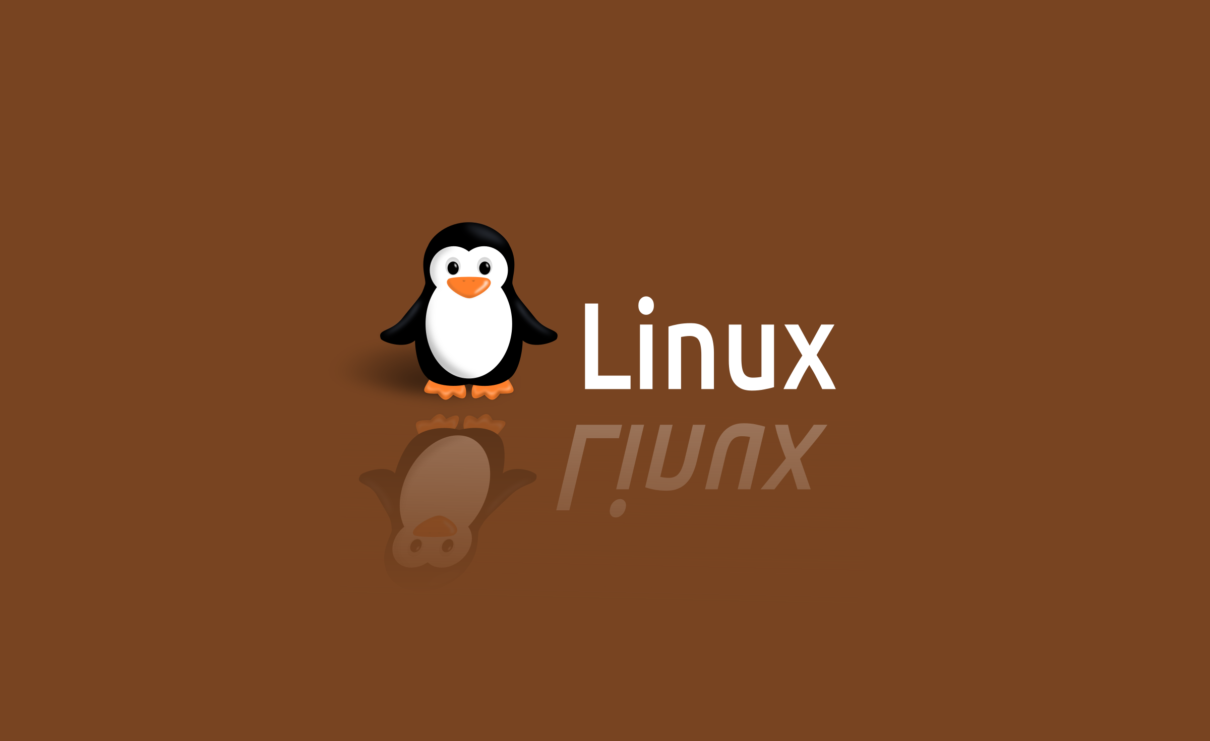 OS 4